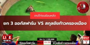 สกุลชัยท้าวครองเมือง
