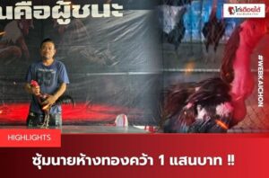 สนามชนไก่บึงทับแต้