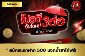 สมัครแรกฝาก-500-แจกน้ำยาไก่ฟรี