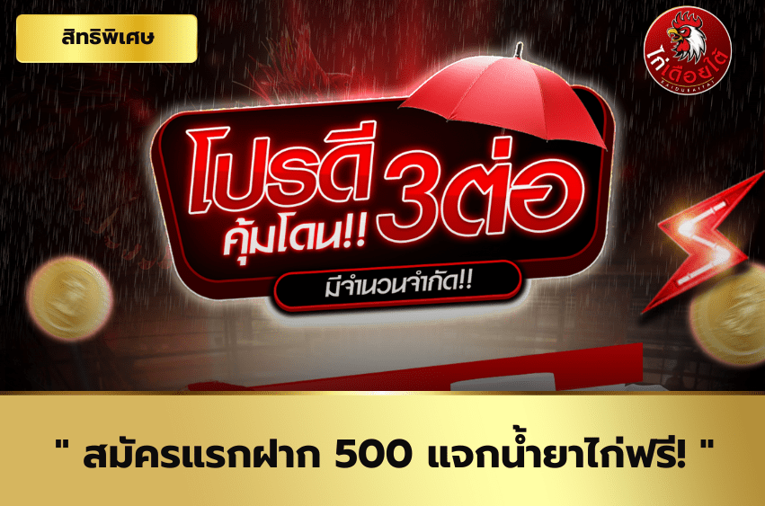 สมัครแรกฝาก-500-แจกน้ำยาไก่ฟรี