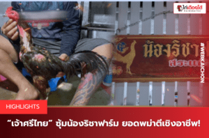 “เจ้าศรีไทย” ซุ้มน้องริชาฟาร์ม ยอดพม่าตีเชิงอาชีพ
