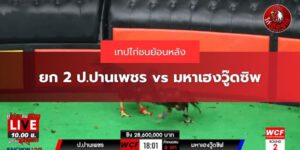 เทปป.ปานเพชร