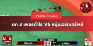 เทปย้อนหลัง
