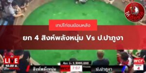 เทปย้อนหลังป.ปาภูงา