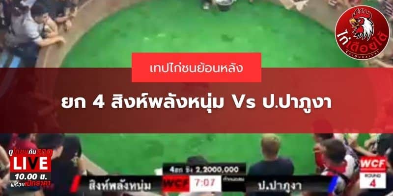 เทปย้อนหลังป.ปาภูงา