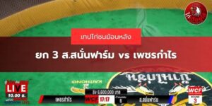 เทปย้อนหลังส.สนั่นฟาร์ม