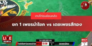 เทปย้อนหลังไก่คู่เอก
