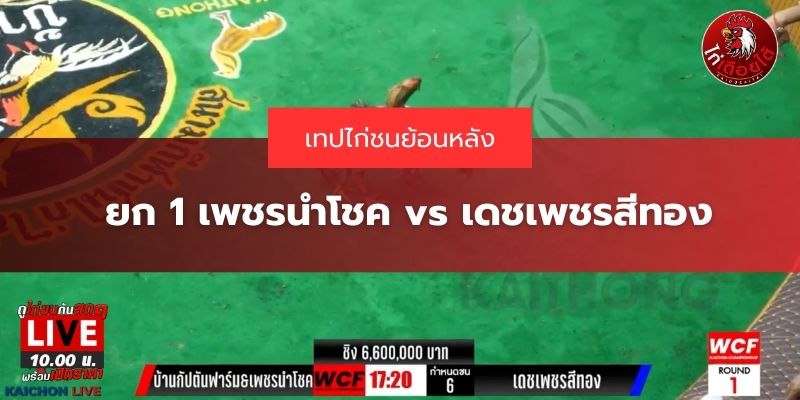 เทปย้อนหลังไก่คู่เอก