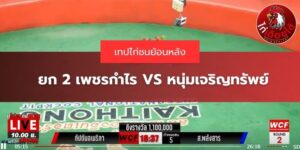 เทปย้อนหลังไก่ชน