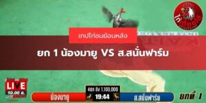 เทปส.สนั่นฟาร์ม