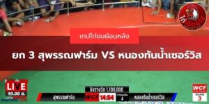 เทปสนามชนไก่ทองอินเตอร์