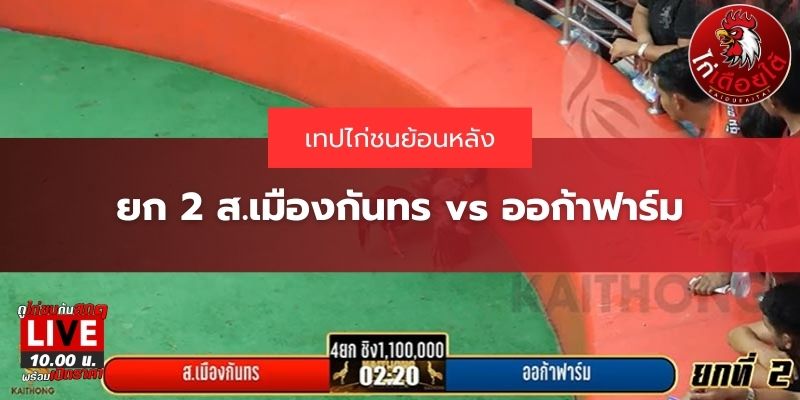 เทปไก่ชนย้อนหลัง