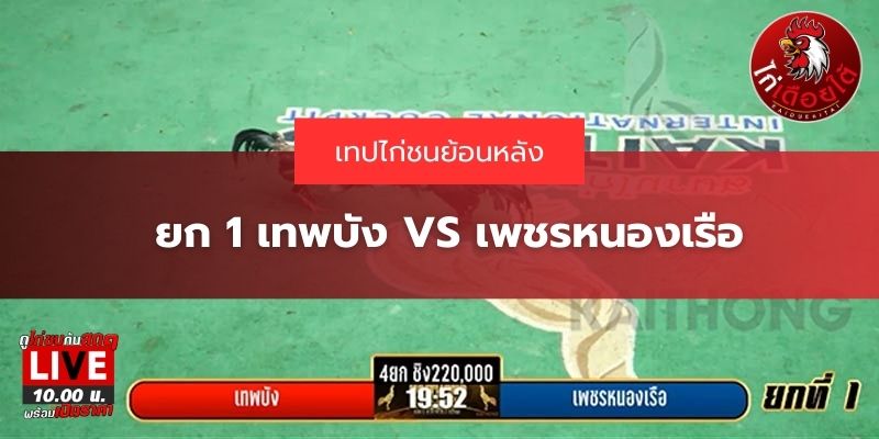 เทปไก่ชนย้อนหลัง