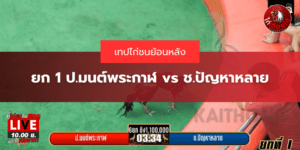 เทปไก่ชนย้อนหลัง