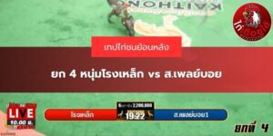 เทปไก่ชนย้อนหลัง