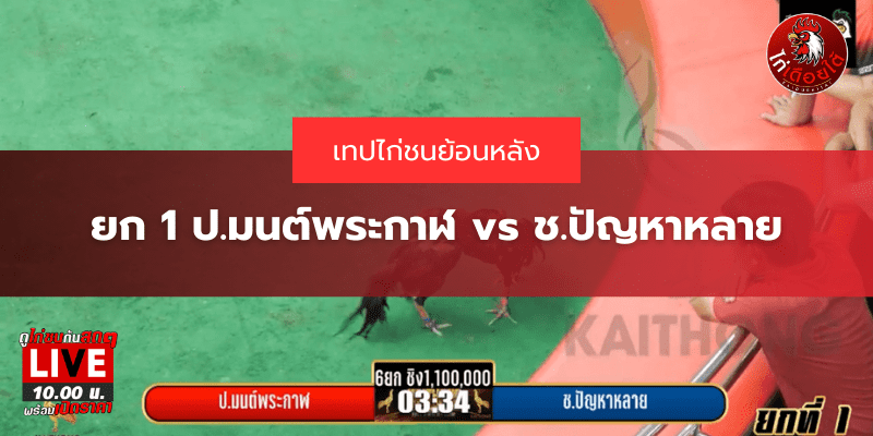 เทปไก่ชนย้อนหลัง