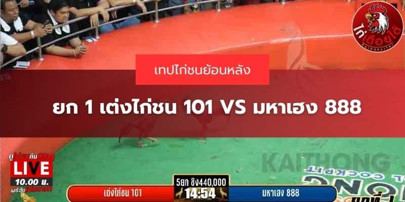 เทปไก่ชนล่าสุด