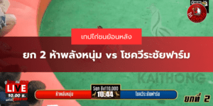 เทปไก่ชนล่าสุด