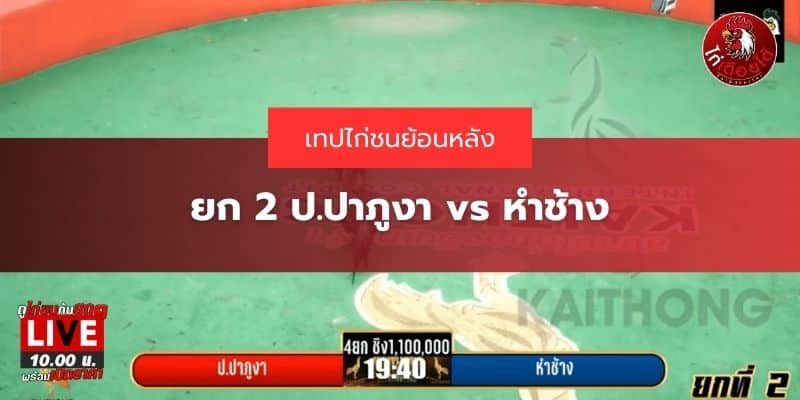 เทปไก่ชนล่าสุด