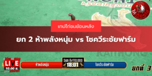 เทปไก่ชนวันนี้