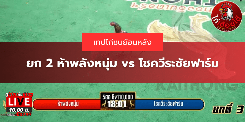 เทปไก่ชนวันนี้