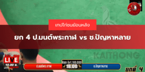 เทปไก่ชนเงินล้าน