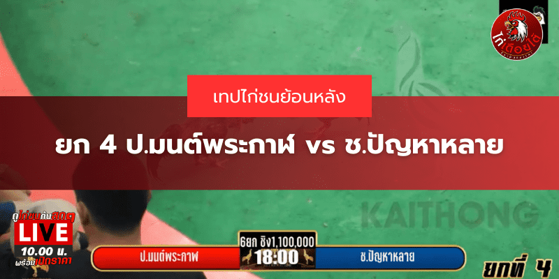 เทปไก่ชนเงินล้าน