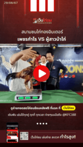 เปรียบไก่