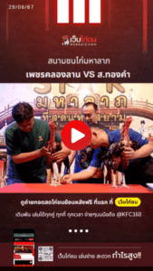 เปรียบไก่ชน