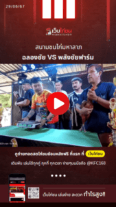 เปรียบไก่ชน