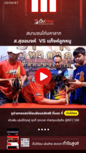 เปรียบไก่ชน