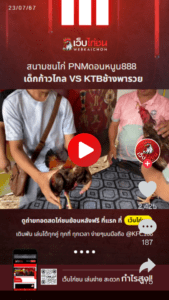 เปรียบไก่ชนเด็กก้าวไกล