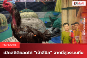 เปิดสถิติยอดไก่ “เจ้าสีนิล” จากมีสุวรรณทีม.