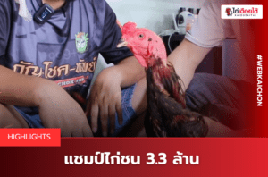 แชมป์ไก่ชน
