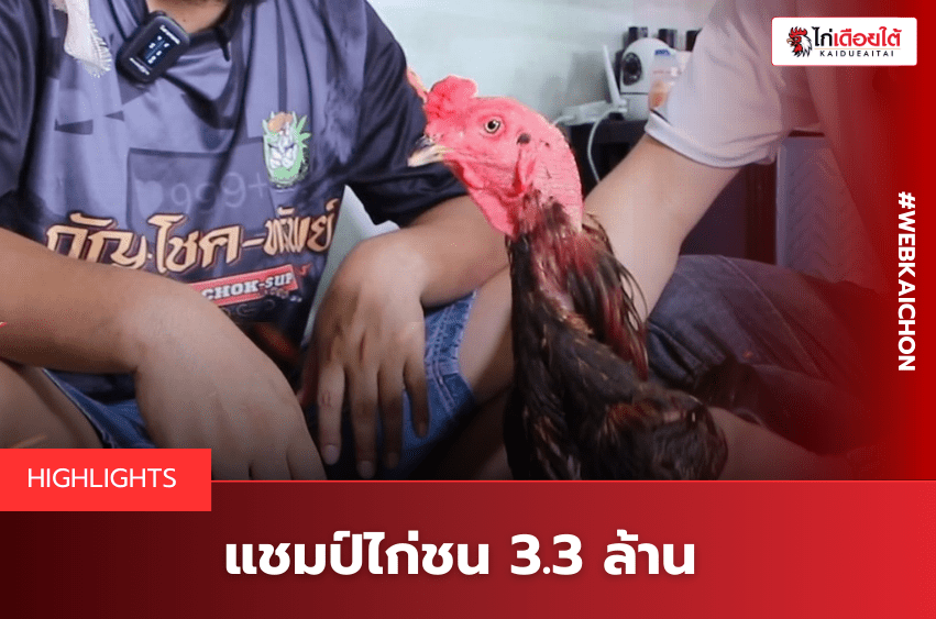 แชมป์ไก่ชน