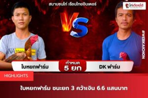ข่าวสารไก่ชน