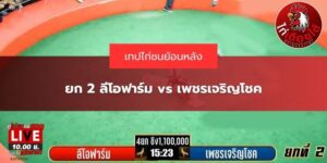 ไก่ชน ลาว