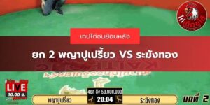 ไก่ชนคู่53ล้าน
