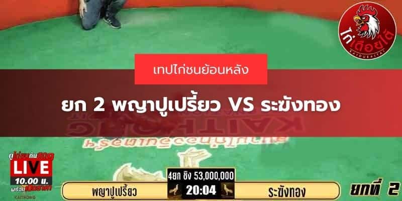ไก่ชนคู่53ล้าน