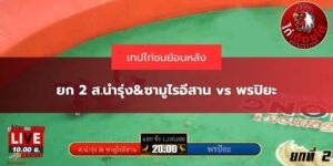 ไก่ชนพม่า