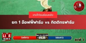 ไก่ชนย้อนหลัง
