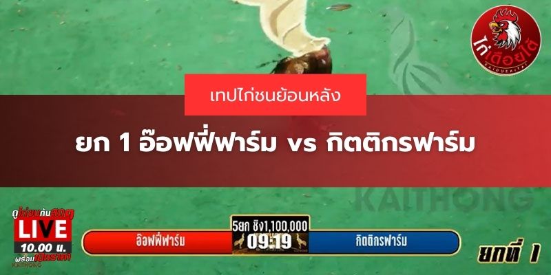 ไก่ชนย้อนหลัง