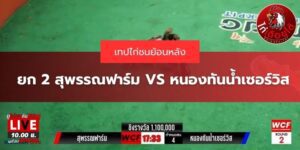 ไก่ชนย้อนหลัง