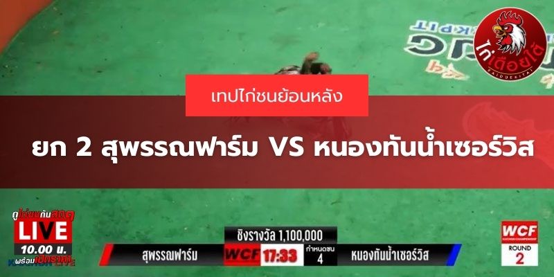 ไก่ชนย้อนหลัง