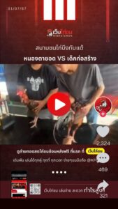 ไก่ชนล่าสุด