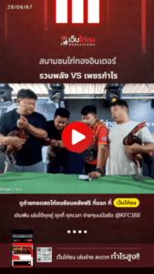 ไก่ชนล่าสุด