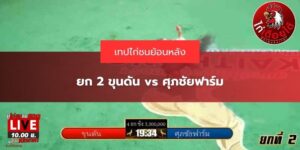 ไก่ชนล่าสุดวันนี้