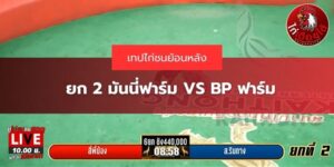 ไก่ชนสี่พี่น้อง