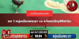 ไก่ชนหนุ่มเมืองพระอา