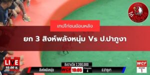 เทปไก่ชนออนไลน์
